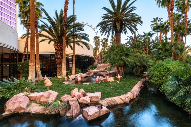 Flamingo-Wildlife-Habitat-at-Flamingo-Las-Vegas-1